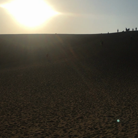 鳥取砂丘の画像