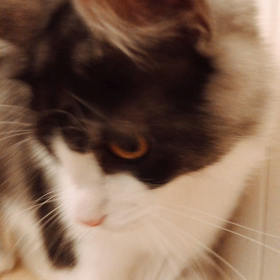 お金が全てなら…の画像