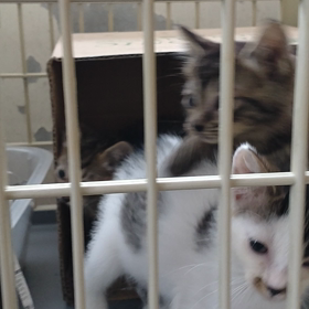 今朝の管理所の画像