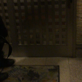 旦那さんが帰ってきて…の画像