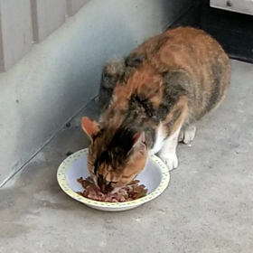 順番待ちの画像