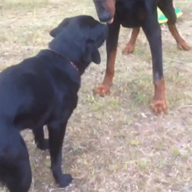 クチビルの危機の画像