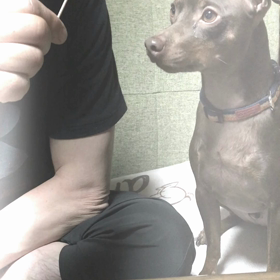 イチゴと桃太郎の画像