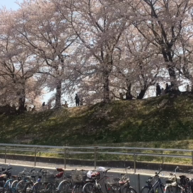 リーダーはいないの？の画像