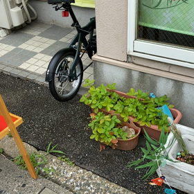 夏こそたまごの画像