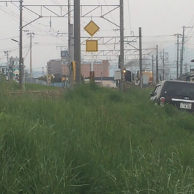 勇壮でカックイーの画像