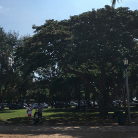 Queen's Beachの画像