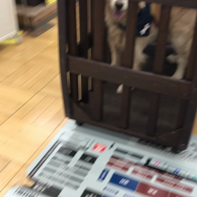 ラブどこへ？の画像