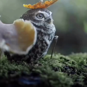 救急増えてますの画像