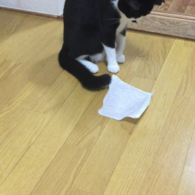 ストーカーの画像