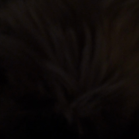 ☆ いびき ☆の画像