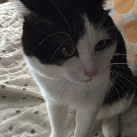 オジャラケ動画？！の画像