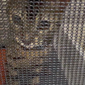 猫ちゃんが来た初日の画像