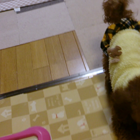 初めての動画(*^-^*)の画像