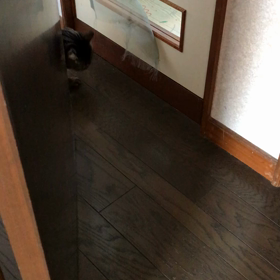 モーニング　ルーティーンの画像