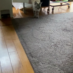 フェイント…の画像