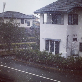 ぁぁ 寒い‥‥の画像