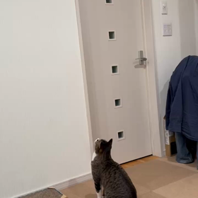 チー太君のジャンプ力Σ（ﾟдﾟlll）みてみての画像