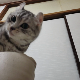 遊ぶ遊ぶ！の画像