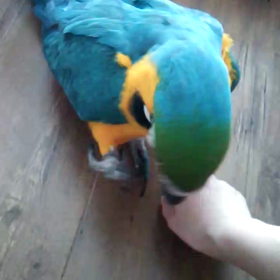 明日は…の画像