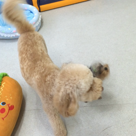 ♪プレイルーム動画♪①の画像