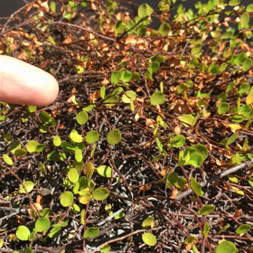 私的恐怖心コントロール練習。良い子は真似しても可。の画像