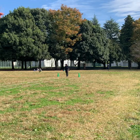 リレー特別練習⑦の画像