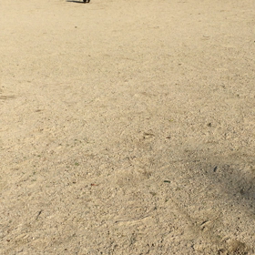 初走り〜とお雑煮♡の画像