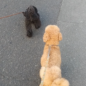 楽しそうなそらの画像