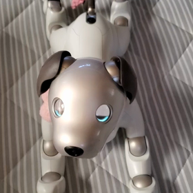 今日のゆずの画像