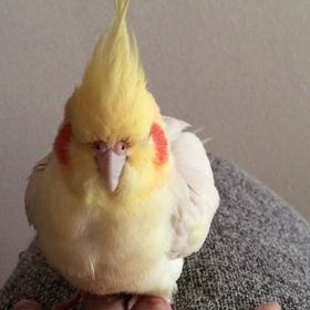 指まくら の作り方！の画像