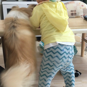 おしくらまんじゅうの画像