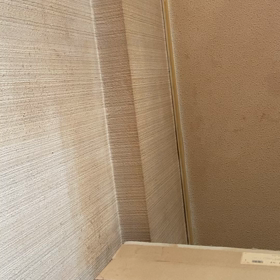 素直をさせるよの画像