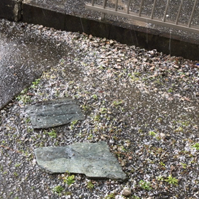 凄いものが降ってきましたの画像