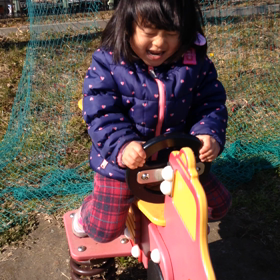 たんぽぽが咲いて ますの画像