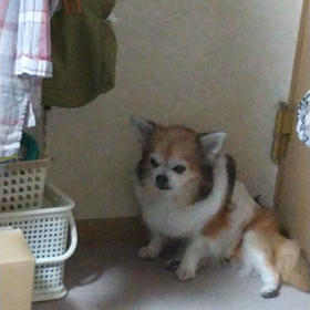 手術しました その後…の画像