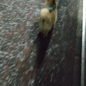 雪.☃︎.'.°☽の画像