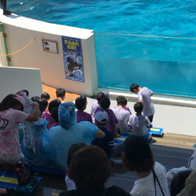 夏合宿35の画像