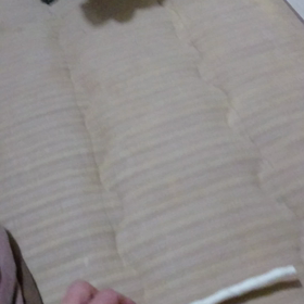 ルーちゃんの  成長の画像