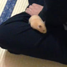 くくくくくぅーう！T^Tの画像