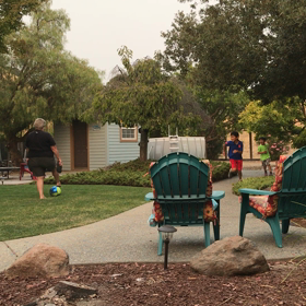 おもしろ動画の画像