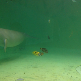 ともだち編No.288    韓流の画像