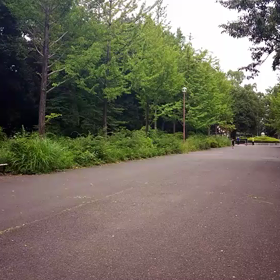 100m記録会 Cグループ②の画像