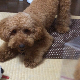 ご対面の結果！の画像