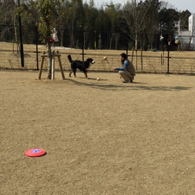 テンは楽しそうの画像