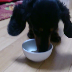 美味しい♪の画像