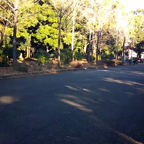 越谷春季記録会リレー選考会(女子)⑤の画像