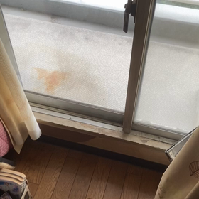 へーんじゃねー？の画像