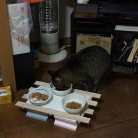 夜 その9の画像