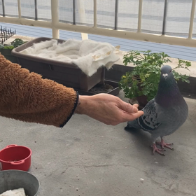 笑える(´∀｀)あとと相方①の画像